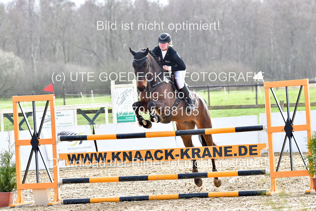 Reitsportzentrum Bremervörde | 070421 Springpferde M_39 