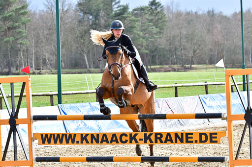 Reitsportzentrum Bremervörde | 070421 Springpferde M_33 