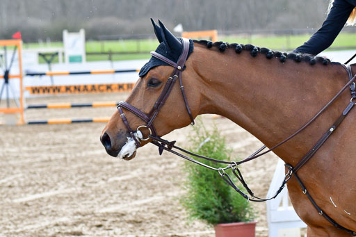 Reitsportzentrum Bremervörde | 070421 Springpferde M_35 