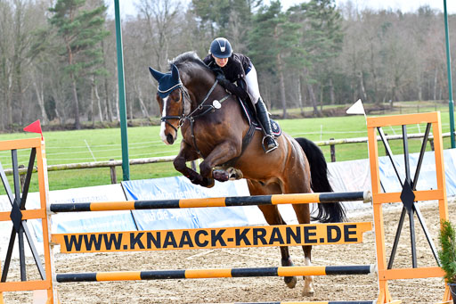 Reitsportzentrum Bremervörde | 070421 Springpferde M_37 
