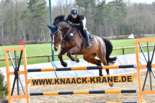 Reitsportzentrum Bremervörde | 070421 Springpferde M_38 