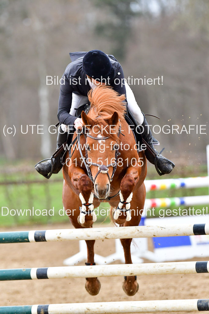 Reitsportzentrum Bremervörde | 080421 Springprfg L _160