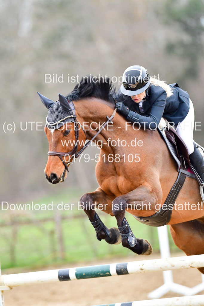 Reitsportzentrum Bremervörde | 080421 Springprfg L _175