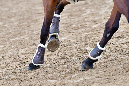 Reitsportzentrum Bremervörde | 080421 Springprfg  L _012 