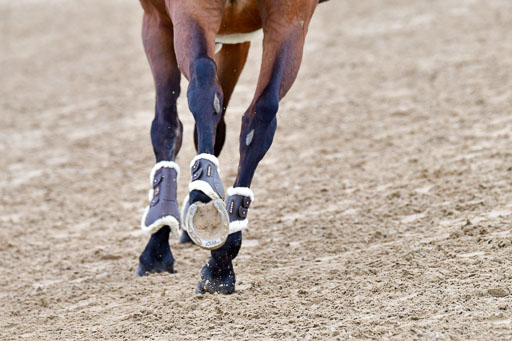 Reitsportzentrum Bremervörde | 080421 Springprfg  L _013 