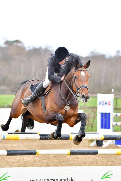 Reitsportzentrum Bremervörde | 080421 Springprfg  L _023 