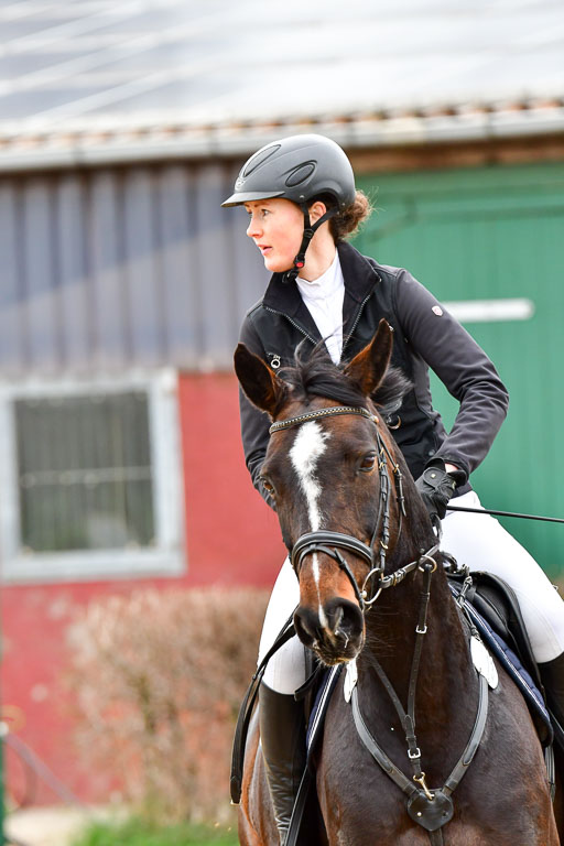 Reitsportzentrum Bremervörde | 080421 Springprfg  L _046 