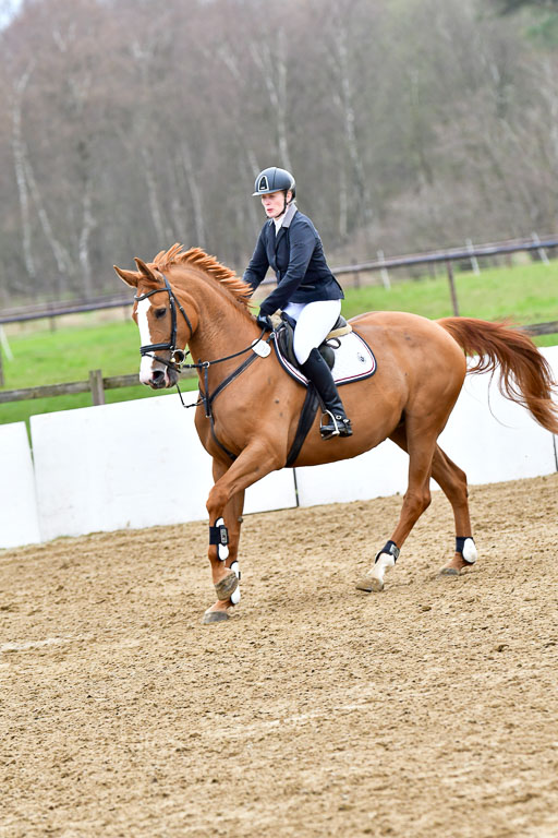 Reitsportzentrum Bremervörde | 080421 Springprfg  L _055 