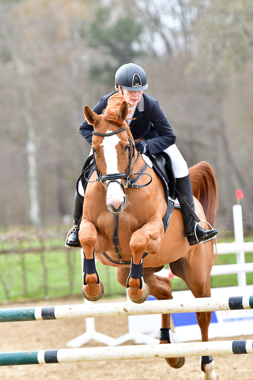 Reitsportzentrum Bremervörde | 080421 Springprfg  L _059 