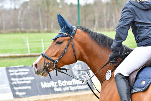 Reitsportzentrum Bremervörde | 080421 Springprfg  L _068 