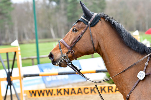 Reitsportzentrum Bremervörde | 080421 Springprfg  L _078 