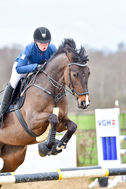 Reitsportzentrum Bremervörde | 080421 Springprfg  L _101 