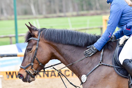 Reitsportzentrum Bremervörde | 080421 Springprfg  L _104 