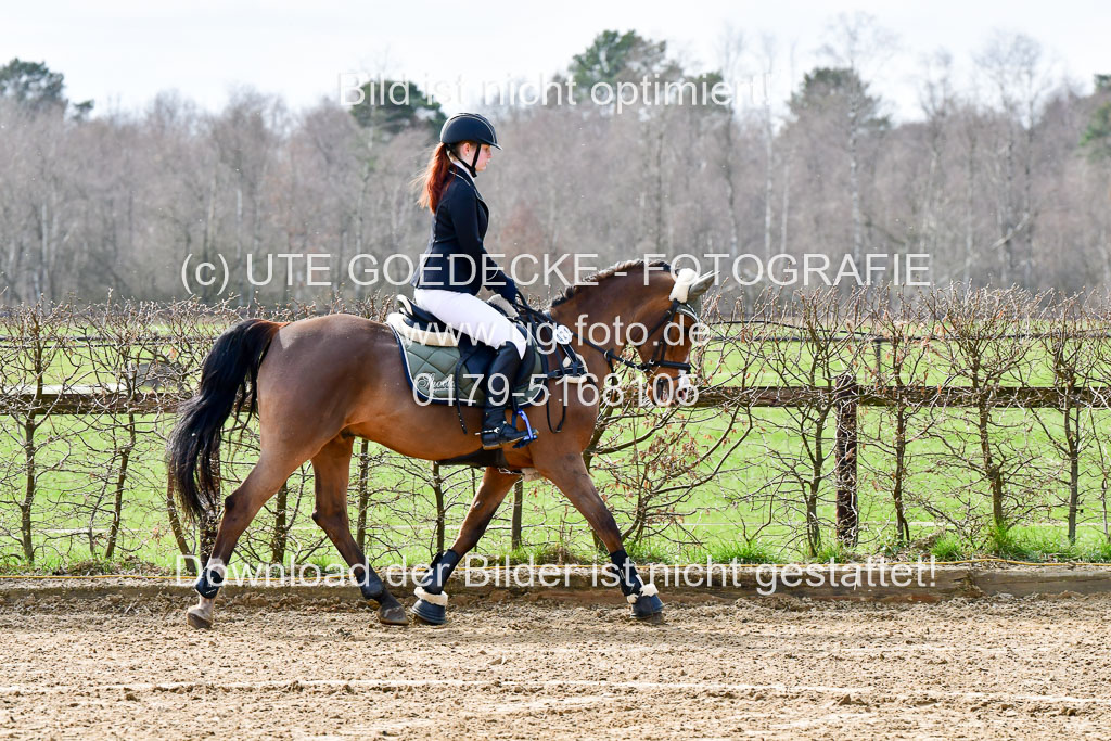 Reitsportzentrum Bremervörde 10.4.21 | 10421 Springreiter WB_007 