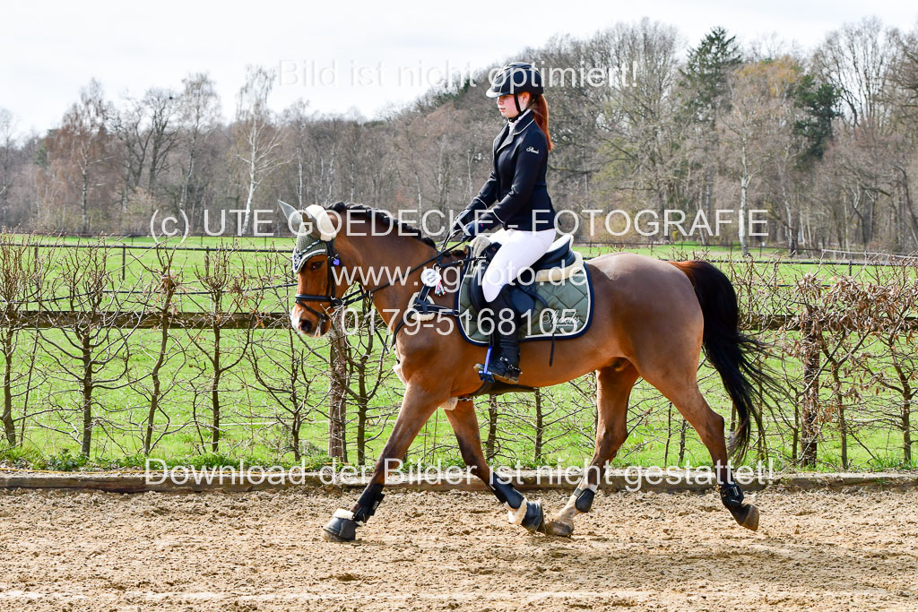 Reitsportzentrum Bremervörde 10.4.21 | 10421 Springreiter WB_010