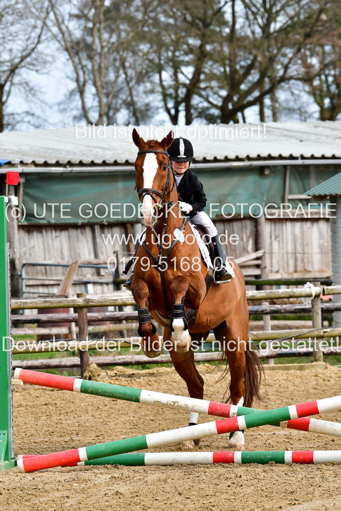 Reitsportzentrum Bremervörde 10.4.21 | 10421 Springreiter WB_016