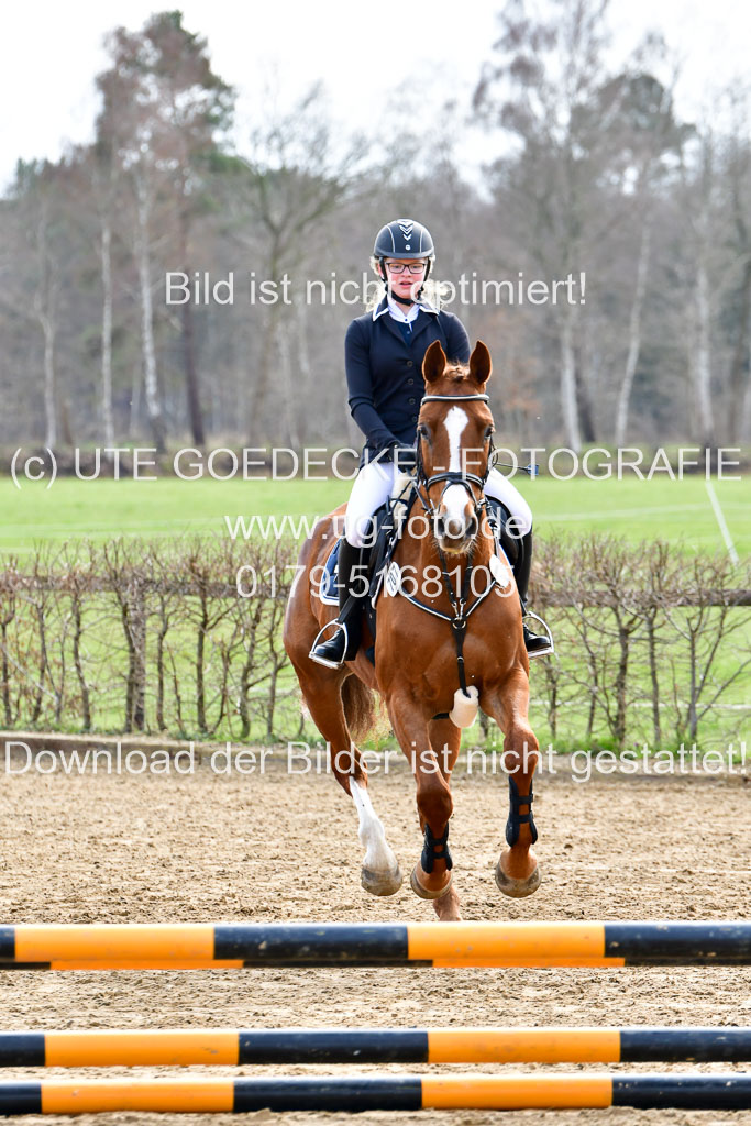Reitsportzentrum Bremervörde 10.4.21 | 10421 Springreiter WB_021