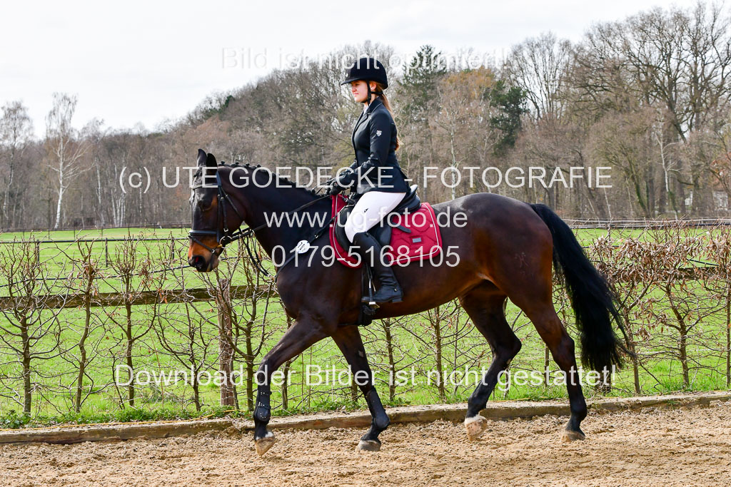 Reitsportzentrum Bremervörde 10.4.21 | 10421 Springreiter WB_042 