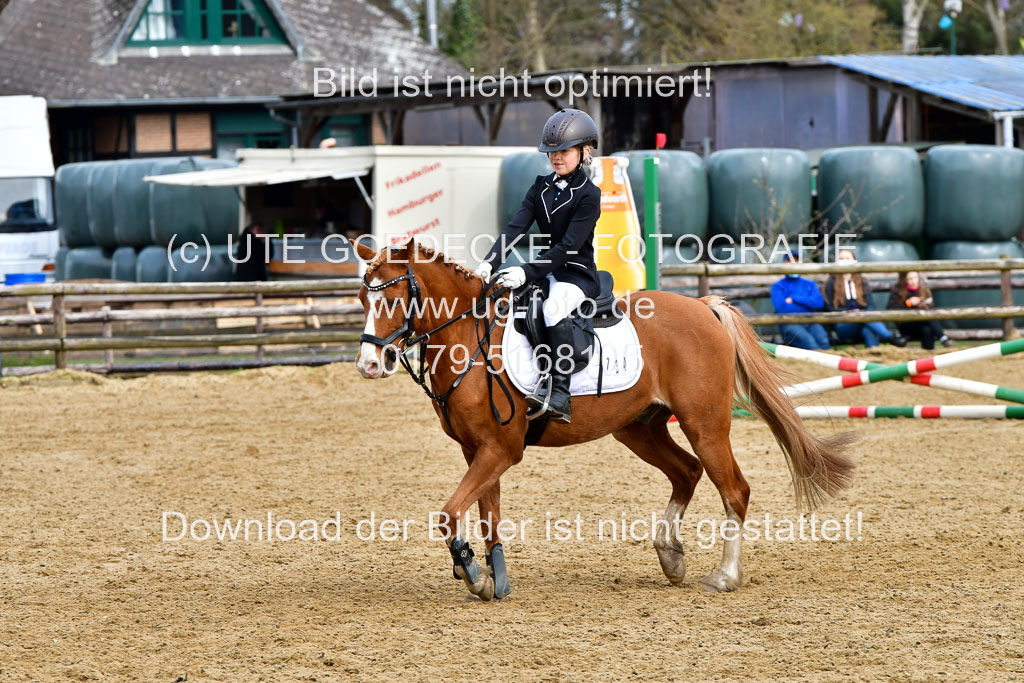Reitsportzentrum Bremervörde 10.4.21 | 10421 Springreiter WB_215