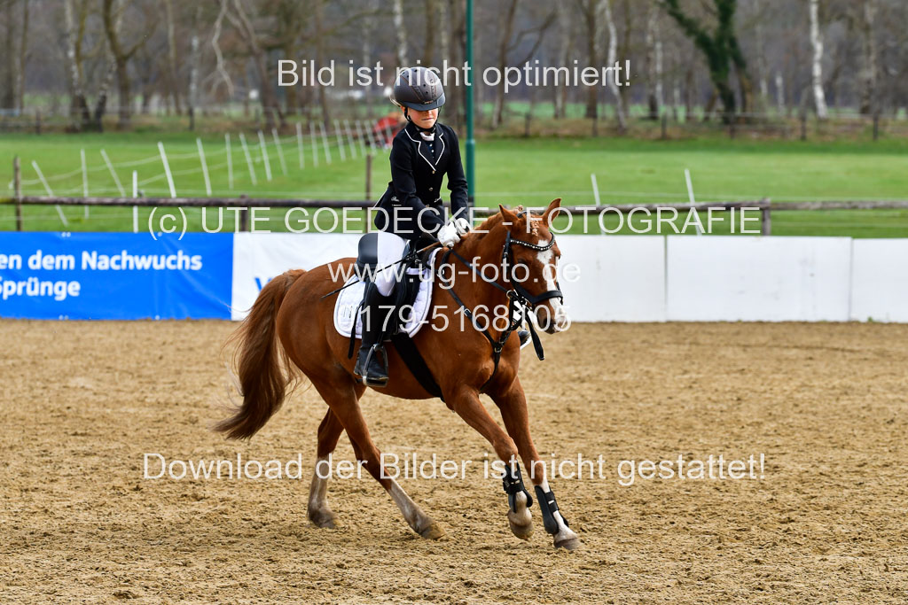 Reitsportzentrum Bremervörde 10.4.21 | 10421 Springreiter WB_229 