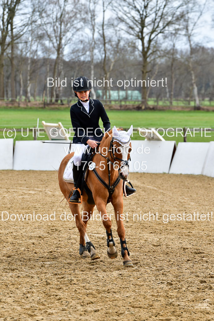 Reitsportzentrum Bremervörde 10.4.21 | 10421 Springreiter WB_232 