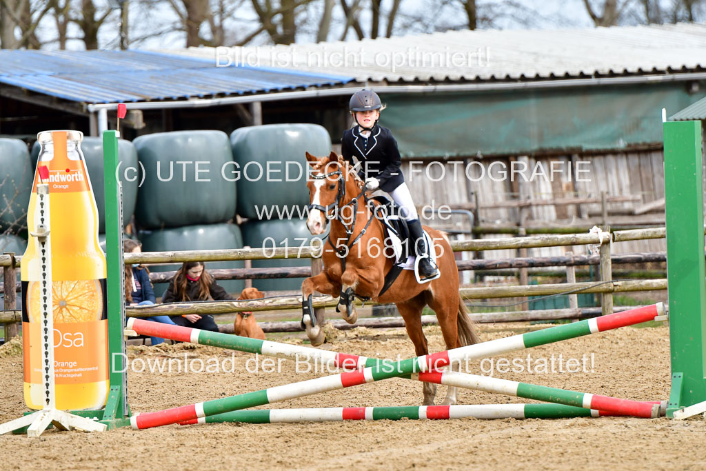 Reitsportzentrum Bremervörde 10.4.21 | 10421 Springreiter WB_252 