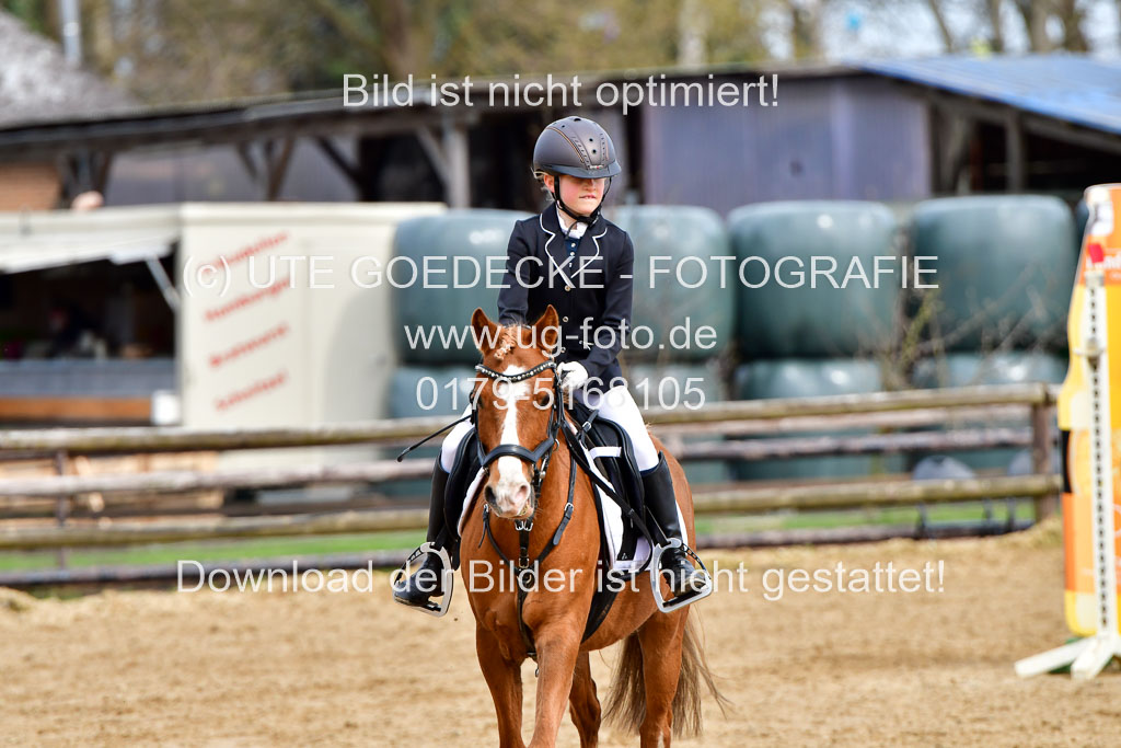 Reitsportzentrum Bremervörde 10.4.21 | 10421 Springreiter WB_254 