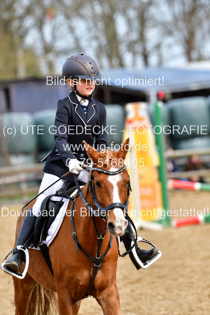 Reitsportzentrum Bremervörde 10.4.21 | 10421 Springreiter WB_255 