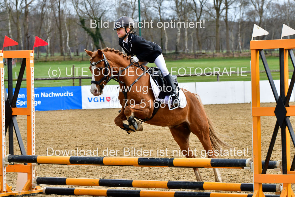 Reitsportzentrum Bremervörde 10.4.21 | 10421 Springreiter WB_256