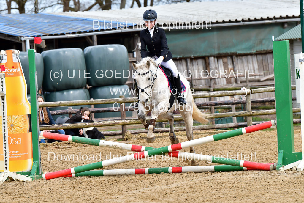 Reitsportzentrum Bremervörde 10.4.21 | 10421 Springreiter WB_262 