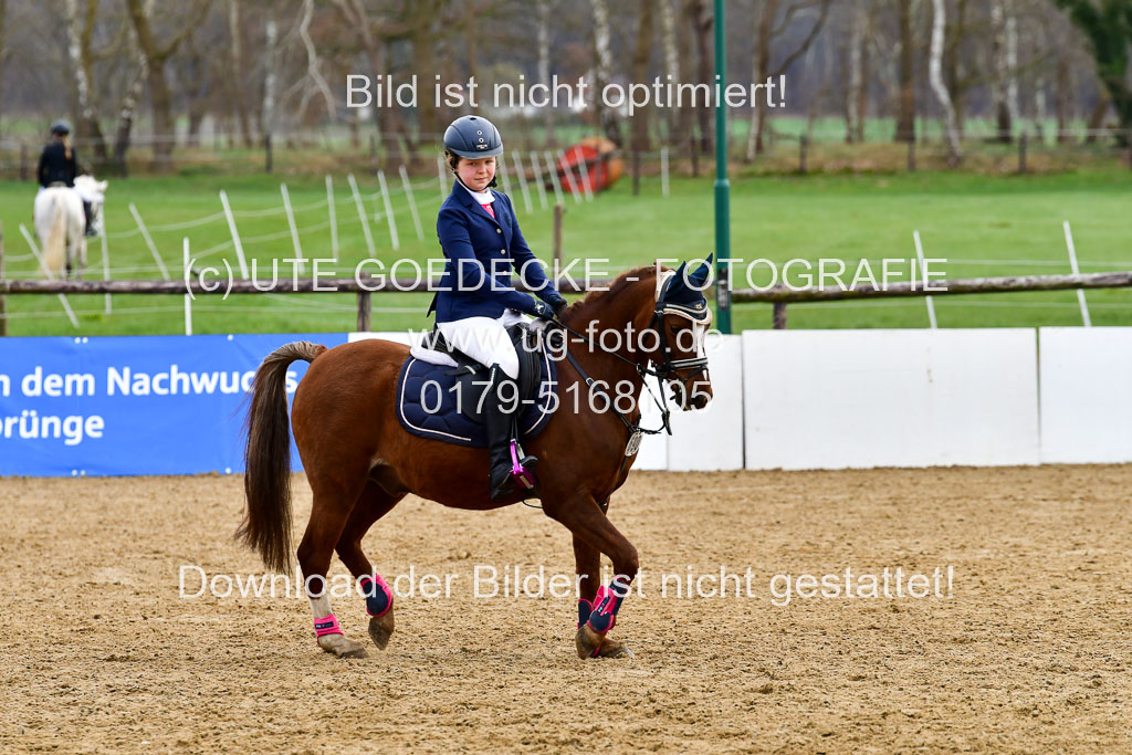 Reitsportzentrum Bremervörde 10.4.21 | 10421 Springreiter WB_294 