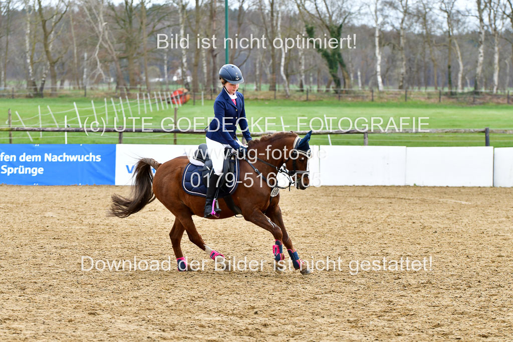 Reitsportzentrum Bremervörde 10.4.21 | 10421 Springreiter WB_308 