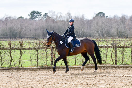 Reitsportzentrum Bremervörde 10.4.21 | 10421 Springreiter WB_004 