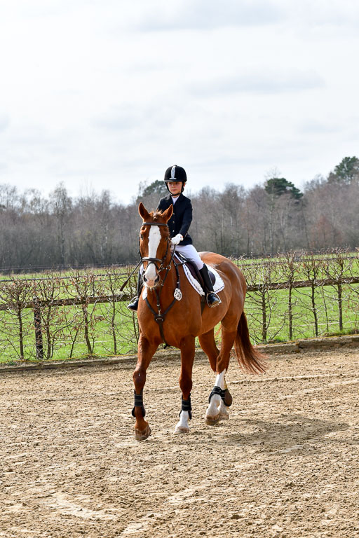 Reitsportzentrum Bremervörde 10.4.21 | 10421 Springreiter WB_005 