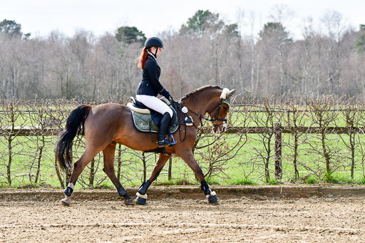 Reitsportzentrum Bremervörde 10.4.21 | 10421 Springreiter WB_007 