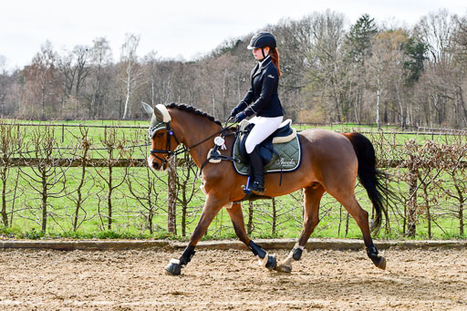 Reitsportzentrum Bremervörde 10.4.21 | 10421 Springreiter WB_010 