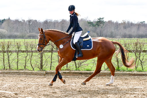 Reitsportzentrum Bremervörde 10.4.21 | 10421 Springreiter WB_013 