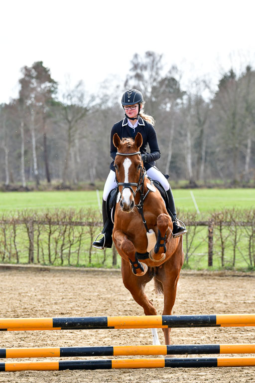 Reitsportzentrum Bremervörde 10.4.21 | 10421 Springreiter WB_022 