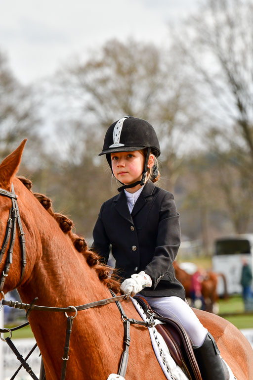 Reitsportzentrum Bremervörde 10.4.21 | 10421 Springreiter WB_032 
