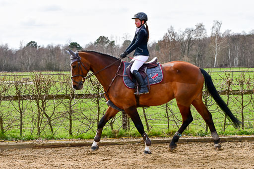 Reitsportzentrum Bremervörde 10.4.21 | 10421 Springreiter WB_041 