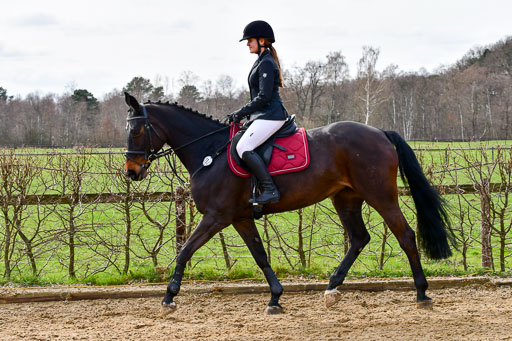 Reitsportzentrum Bremervörde 10.4.21 | 10421 Springreiter WB_043 