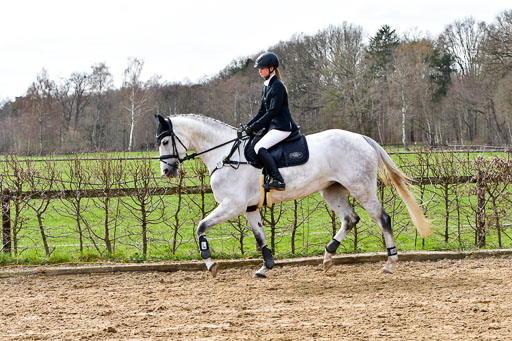 Reitsportzentrum Bremervörde 10.4.21 | 10421 Springreiter WB_045 