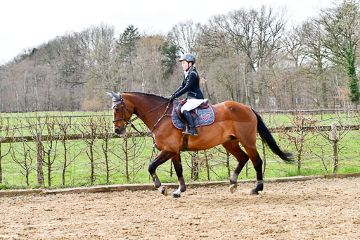 Reitsportzentrum Bremervörde 10.4.21 | 10421 Springreiter WB_046 