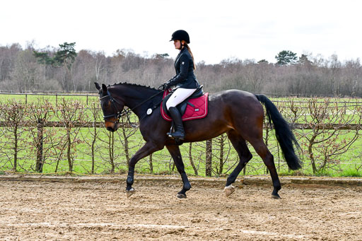 Reitsportzentrum Bremervörde 10.4.21 | 10421 Springreiter WB_047 