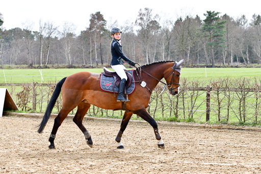 Springreiter WB Springreiter WB