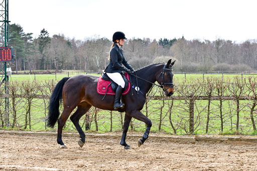 Reitsportzentrum Bremervörde 10.4.21 | 10421 Springreiter WB_049 