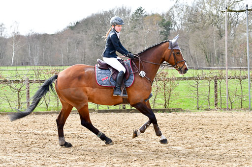 Reitsportzentrum Bremervörde 10.4.21 | 10421 Springreiter WB_056 