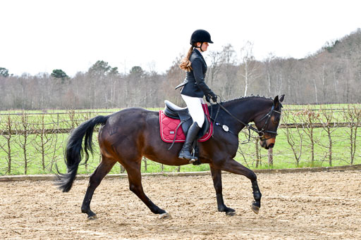 Reitsportzentrum Bremervörde 10.4.21 | 10421 Springreiter WB_057 