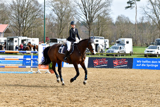 Reitsportzentrum Bremervörde 10.4.21 | 10421 Springreiter WB_106 