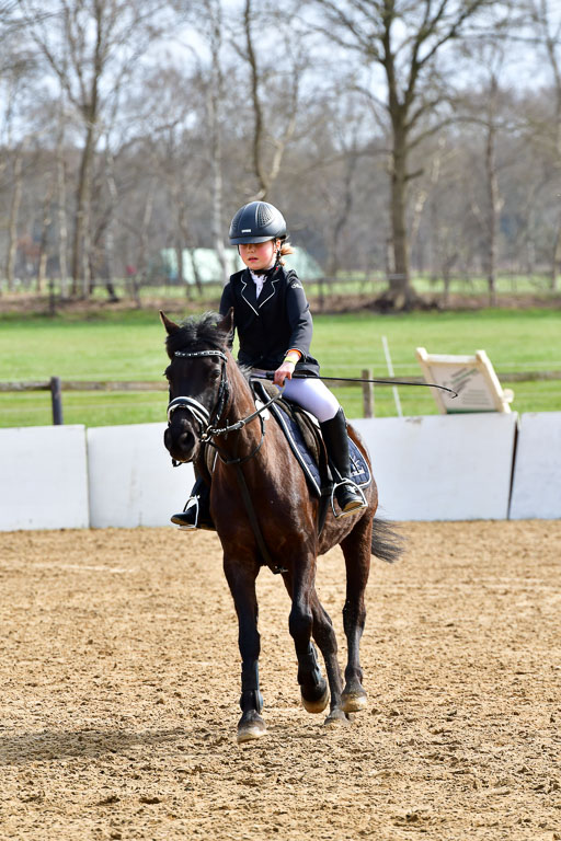 Reitsportzentrum Bremervörde 10.4.21 | 10421 Springreiter WB_141 